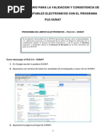 Manual y Solucionario - Ple V20-Sunat