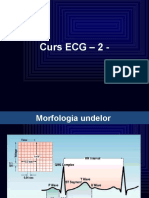 Curs 2 ECG