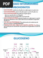 Clase Del Metabolismo Del Glucogeno 2010-II