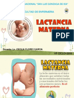 Lactancia Materna Rotafolio