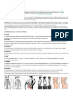 Clasificación Morfológica de Los Pies