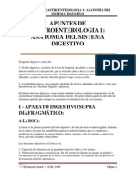 Apuntes de Gastroenterologia 1 Anatomia Del Sistema Digestivo