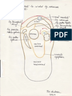 Desene Anatomie 3