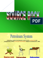 Source Rock Petroleum System