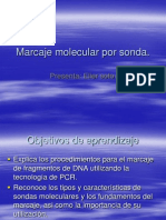 7.8 Marcaje Sondas PCR