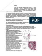 Esferocitosis Hereditaria