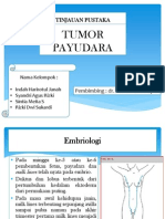 Tumor Payudara