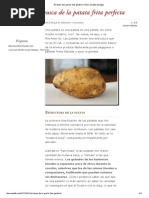 En Busca de La Patata Frita Perfecta PDF