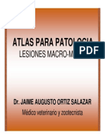 Atlas para Patologia PDF