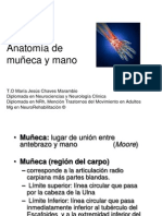 Anatomia de Muñeca y Mano