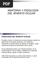 Aparato Ocular Fisiologia y Anatomia