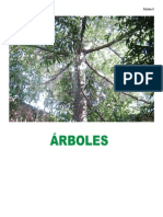 Libro Chab PDF