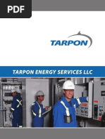 Tarpon Energy Services LLC Brochure