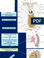 Mediastinum