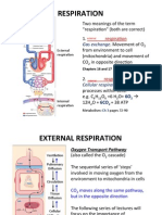 BIO2A03-Respiration Lecture Notes