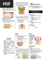 Tejidos Dentarios