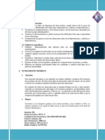 Fases Informe Diagrama PB SN