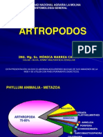 Artropodos