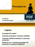 Proiect Managementul Productiei