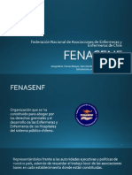 FENASENF