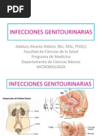 Infecciones Genito-Urinarias Estudiantes PDF