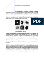 Infecciones Virales Del Sistema Digestivo PDF