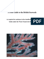 Field Guide To The British Seaweeds