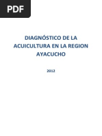 Diagnóstico Ayacucho