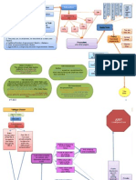 14th Amendment Flow Chart