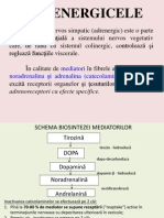 4 Adrenergicele