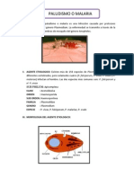 Paludismo o Malaria