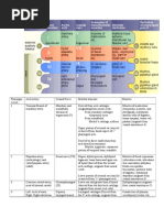 Pharyngeal Arch Derivatives Chart!