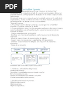 Cómo Elaborar Un Perfil de Proyecto