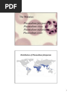 The Malarias:: Plasmodium Falciparum Plasmodium Vivax Plasmodium Malariae Plasmodium Ovale