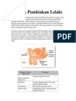 Sistem Pembiakan Lelaki