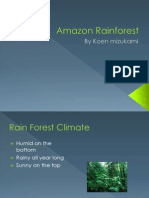 Koen Mizukami Amazon Rainforest