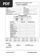 Certificado Auditoria PTT 1