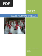 Sacrificio y Faenado de Pollos