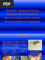 Biología y Requerimientos Térmicos de La Telenomus Remus