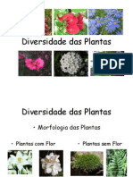 Diversidade Das Plantas