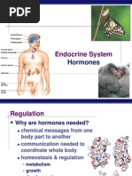 Hormones