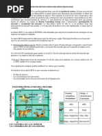 Matriz Del Boston Consulting Group