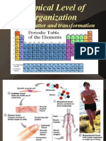 Chemical Level of Organization: Energy, Matter and Transformation