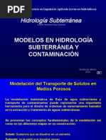 Modelos Transporte de Solutos 2013