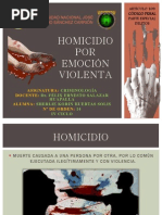 Homicidio Por Emoción Violenta