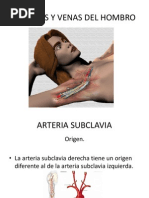 Arterias y Venas Del Hombro