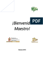 Bienvenido Maestro 2013