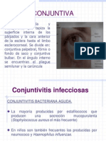 CONJUNTIVA