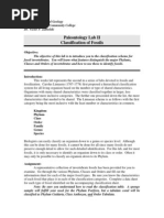 Paleontology I I Fossil Classification