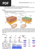 Clinical Bacteriology Reviewer